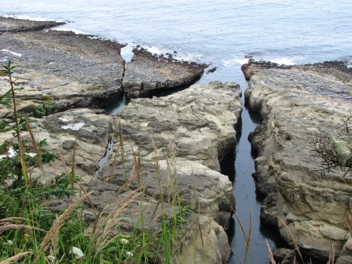 Below the Cape